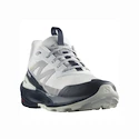 Heren outdoorschoenen Salomon ELIXIR ACTIV Glacier Gray/Carbon/Slate Green