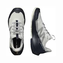 Heren outdoorschoenen Salomon  ELIXIR ACTIV Glacier Gray/Carbon/Slate Green