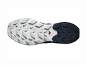 Heren outdoorschoenen Salomon  ELIXIR ACTIV Glacier Gray/Carbon/Slate Green