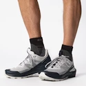 Heren outdoorschoenen Salomon  ELIXIR ACTIV Glacier Gray/Carbon/Slate Green