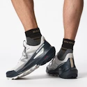 Heren outdoorschoenen Salomon  ELIXIR ACTIV Glacier Gray/Carbon/Slate Green