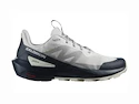 Heren outdoorschoenen Salomon  ELIXIR ACTIV Glacier Gray/Carbon/Slate Green