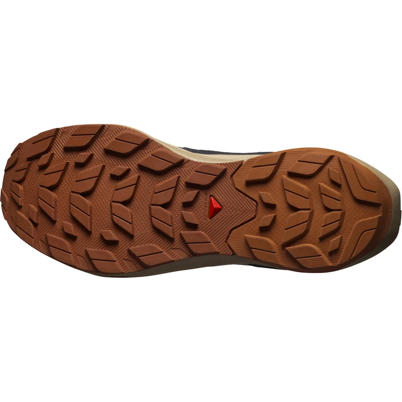 Heren outdoorschoenen Salomon Elixir Activ Gore-Tex Phantom/Safari/Caramel Cafe