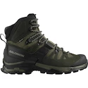 Heren outdoorschoenen Salomon Quest 4 Gore-Tex Olive Night/Peat/Safari  UK 9