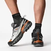 Heren outdoorschoenen Salomon  X ULTRA 360 GTX Quiet Shade/Black/Spice Route