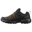 Heren outdoorschoenen Salomon X Ultra 360 Leather Gore-Tex Dark Earth/Delicioso/Sharkskin