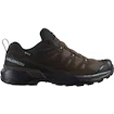 Heren outdoorschoenen Salomon X Ultra 360 Leather Gore-Tex Dark Earth/Delicioso/Sharkskin  UK 10