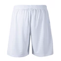 Heren short FZ Forza  Landos M Shorts White