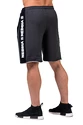 Heren short Nebbia Limitless Šortky s pruhy 177 šedé