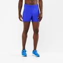 Heren short Salomon