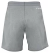 Heren short Tecnifibre  Club Short Silver