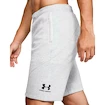 Heren short Under Armour