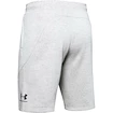 Heren short Under Armour