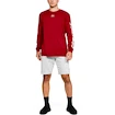 Heren short Under Armour