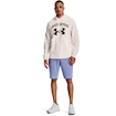 Heren short Under Armour