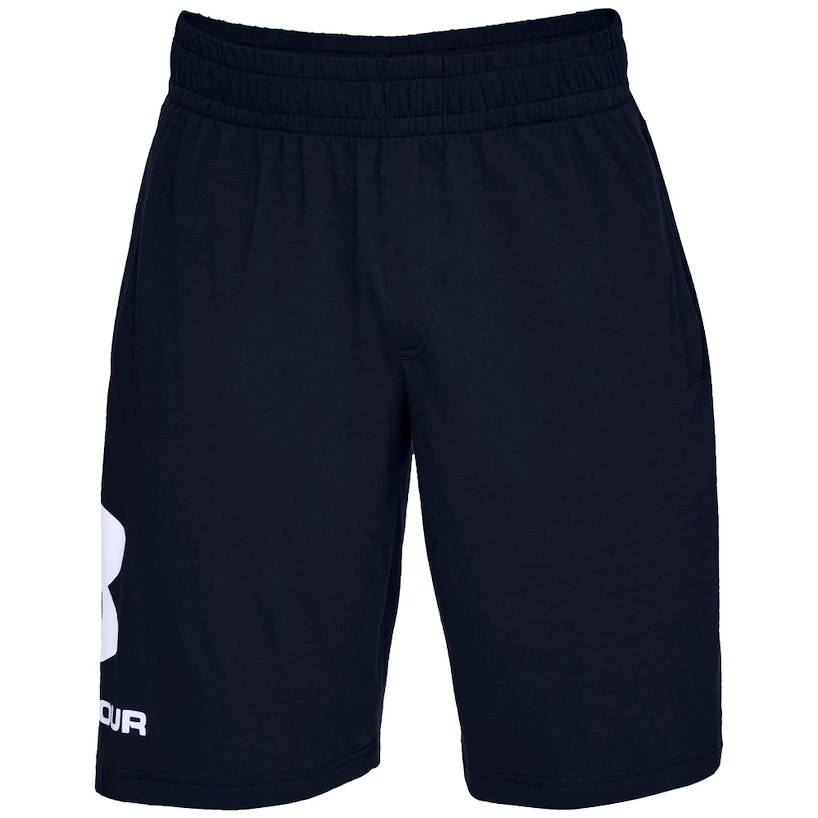 Heren short Under Armour  COTTON BIG LOGO SHORTS blue S