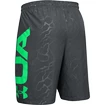Heren short Under Armour  Vanish Woven Emboss
