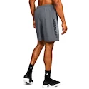 Heren short Under Armour  Woven Graphic Wordmark Short Grey