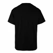 Heren T-shirt 47 Brand  NHL Anaheim Ducks ECHO Tee