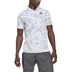 Heren T-shirt adidas  Club Graphic Polo White