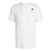 Heren T-shirt adidas  Club Tennis Climacool Graphic T-Shirt White S