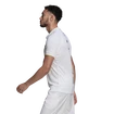 Heren T-shirt adidas  Paris Freelift Polo White