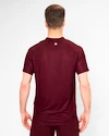 Heren T-shirt BIDI BADU  Protected Leafs Tee Bordeaux