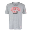 Heren T-shirt CCM FLAG TEE TEAM AUSTRIA Athletic Grey