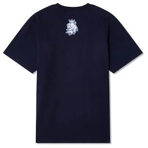 Heren T-shirt CCM  Flag Tee Team CZE Navy