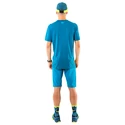 Heren T-shirt Dynafit  Transalper Light Nimbus Melange