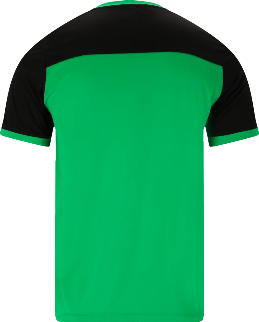 Heren T-shirt FZ Forza  Alberti M S/S Tee Perfect Green