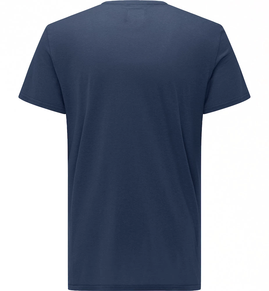 Heren T-shirt Haglöfs  Trad Print Blue