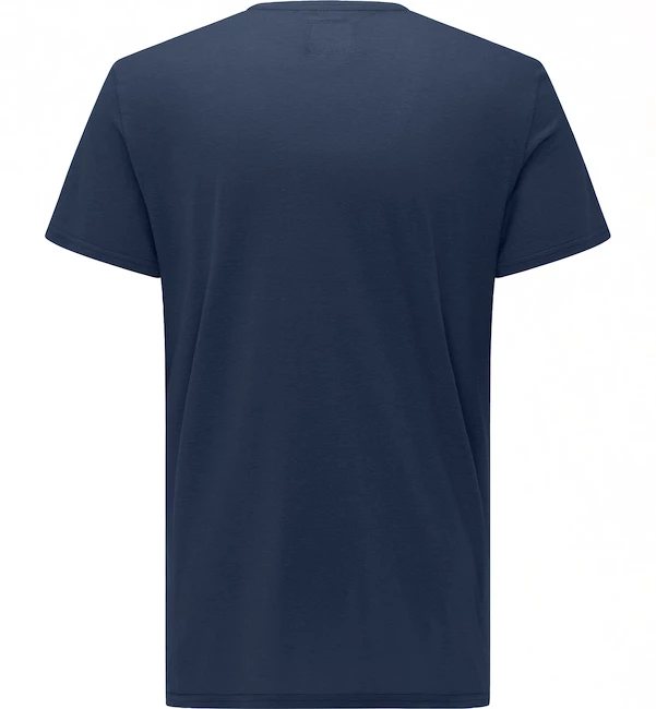 Heren T-shirt Haglöfs  Trad Print Blue