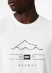 Heren T-shirt Helly Hansen Skog Recycled Graphic T-Shirt White