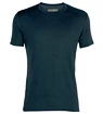 Heren T-shirt Icebreaker  Amplify SS Crewe