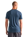 Heren T-shirt Icebreaker  Amplify SS Crewe