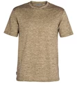 Heren T-shirt Icebreaker  Dowlas SS Crewe