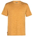 Heren T-shirt Icebreaker  Dowlas SS Crewe