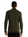 Heren T-shirt Icebreaker  M 260 Tech LS Half Zip Loden