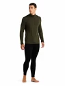 Heren T-shirt Icebreaker  M 260 Tech LS Half Zip Loden