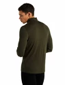 Heren T-shirt Icebreaker  M 260 Tech LS Half Zip Loden