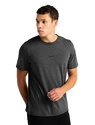 Heren T-shirt Icebreaker M Central SS Tee GRITSTONE HTHR