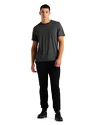 Heren T-shirt Icebreaker  M Central SS Tee GRITSTONE HTHR