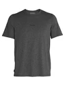 Heren T-shirt Icebreaker  M Central SS Tee GRITSTONE HTHR