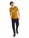 Heren T-shirt Icebreaker Tech Lite II SS Tee