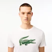 Heren T-shirt Lacoste  Big Logo Core Performance T-Shirt White/Green