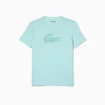 Heren T-shirt Lacoste Core Performance Light Green