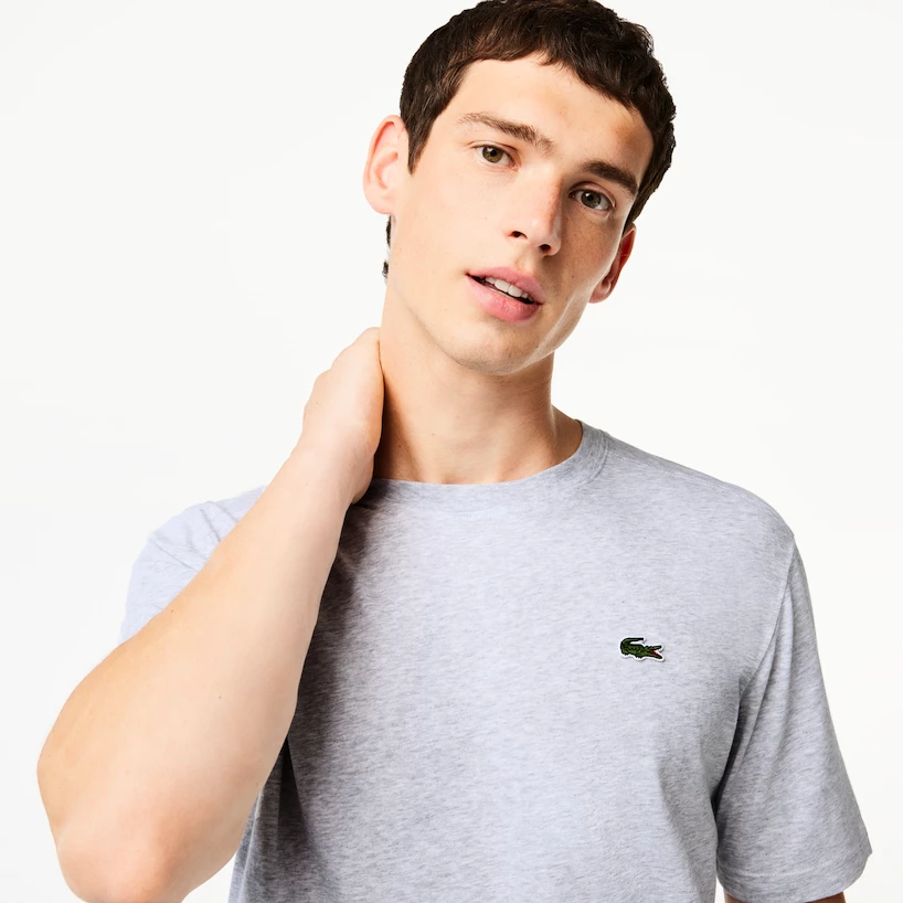 Heren T-shirt Lacoste  Core Performance T-Shirt Silver Chine L