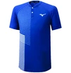 Heren T-shirt Mizuno  Shadow Polo Blue