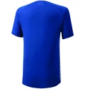 Heren T-shirt Mizuno Shadow Polo Blue